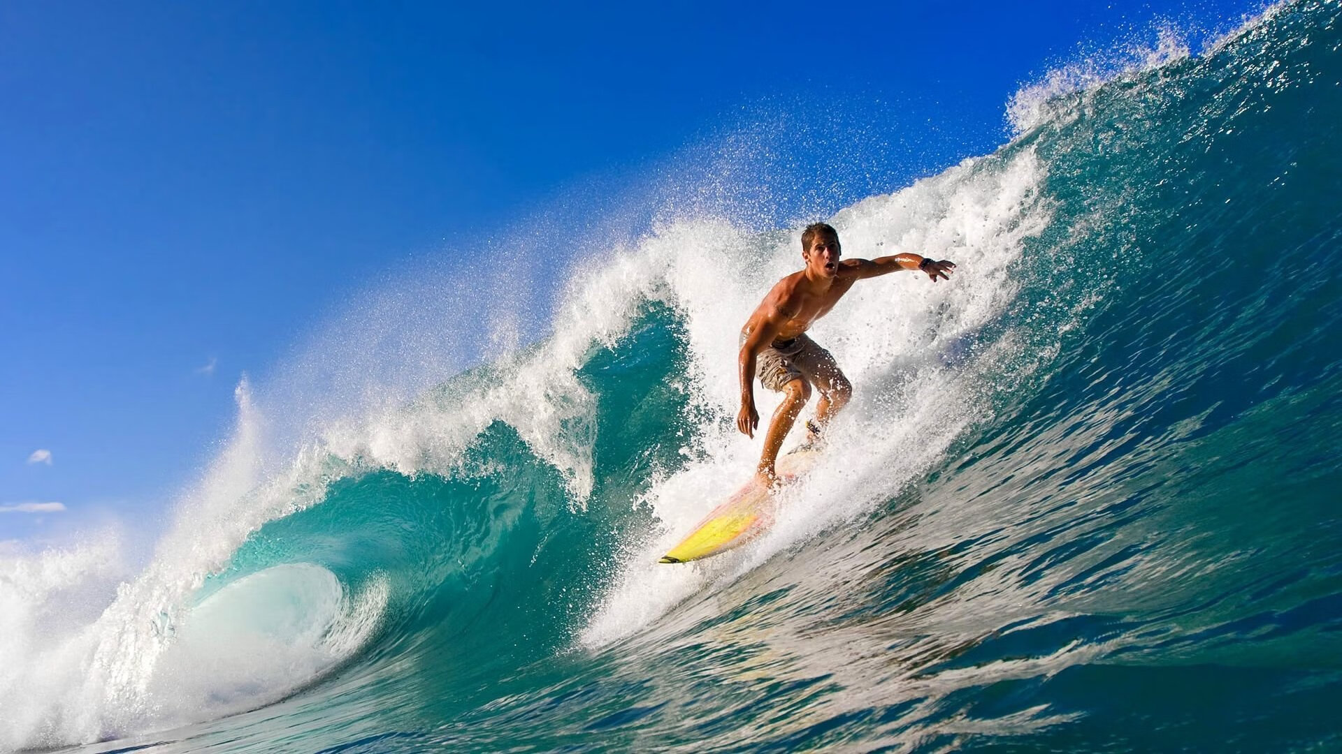 kaiyun 开云体育-体育新闻中心深化体育赛事多语言转播技术，体育赛事转播涉及哪些知识产权