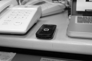 开云平台-技术数据揭示冠军转身平均仅0.65秒，冠军转盘