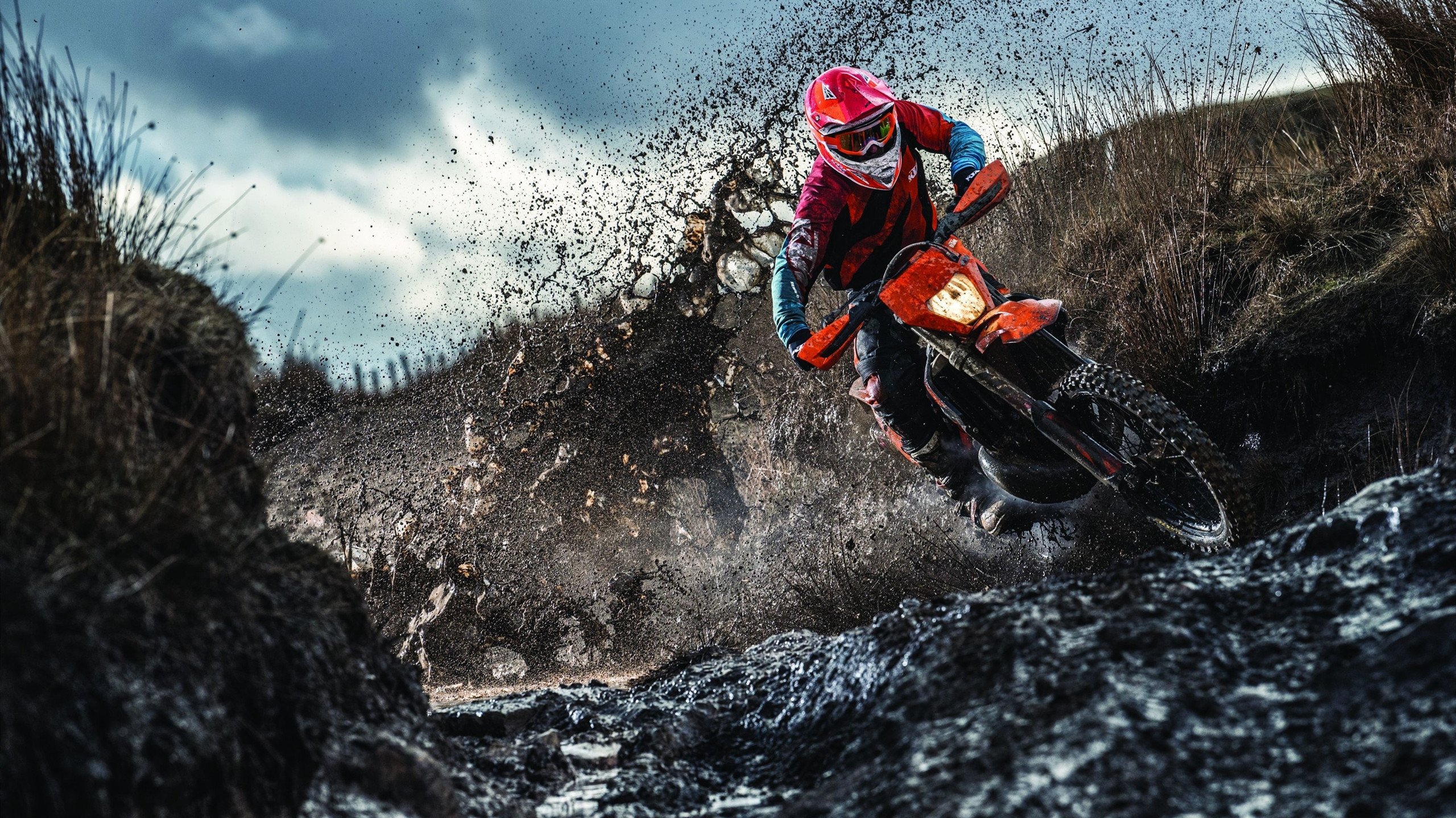 开云官网APP下载-维尔·冯·威克：南非队锋线的猛将，不断给对方防线带来威胁，维尔纳冯西门子简介